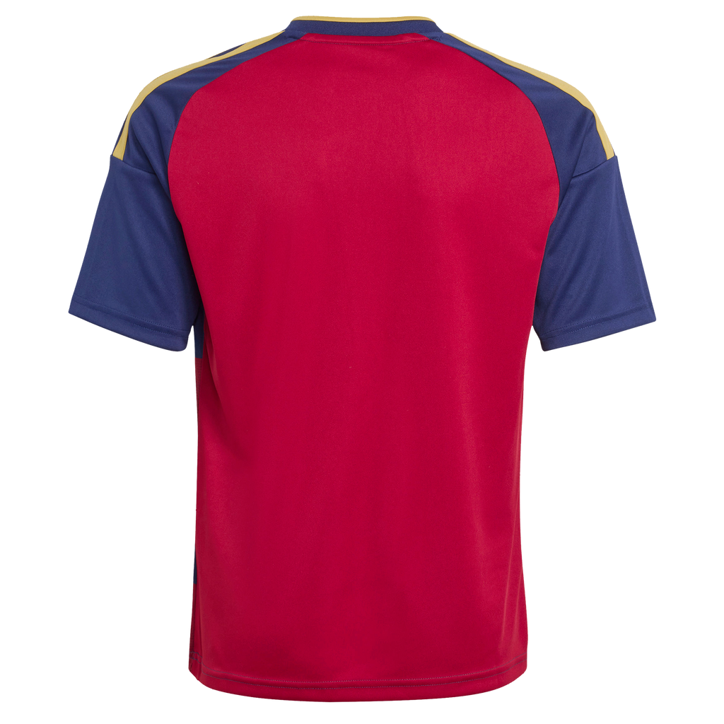 Youth Real Salt Lake Red 2026 The Switchback Replica Jersey