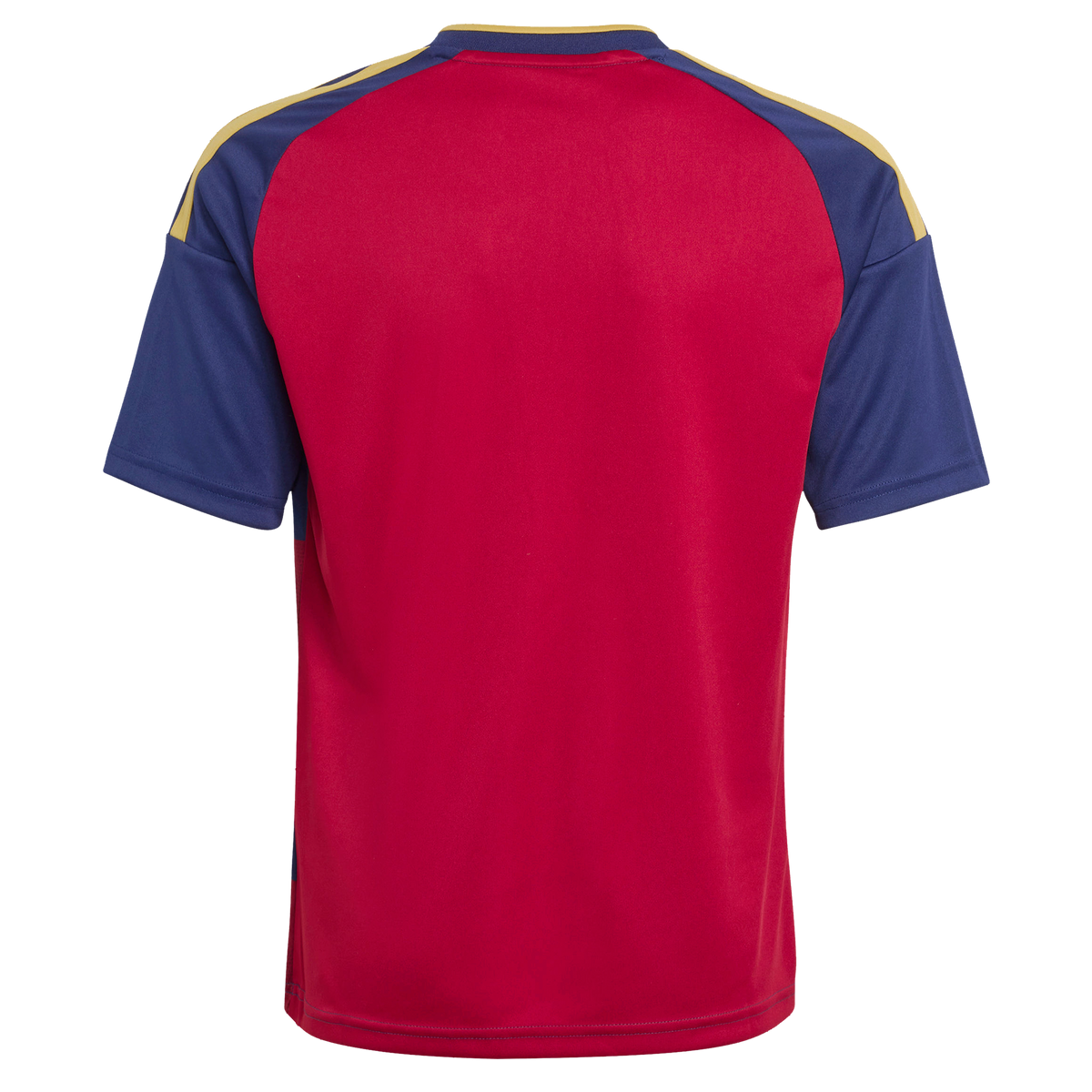 Youth Real Salt Lake Red 2026 The Switchback Replica Jersey
